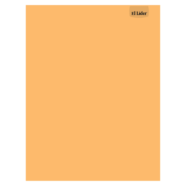 0001-0000010003-Cuaderno-Lider-Esp-Gde-80H-Kraft-1-71729